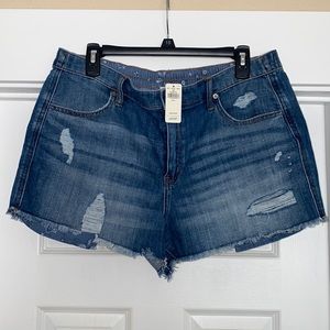 Aerie jean shorts size L